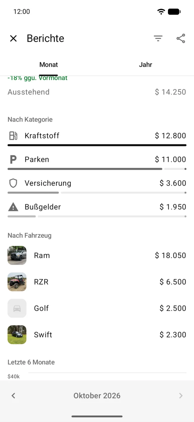 Die Ausgaben des Monats nach Kategorie und Fahrzeug
