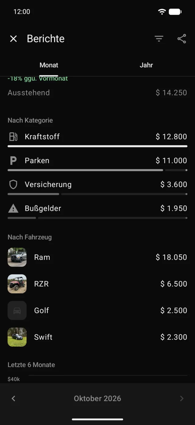 Die Ausgaben des Monats nach Kategorie und Fahrzeug