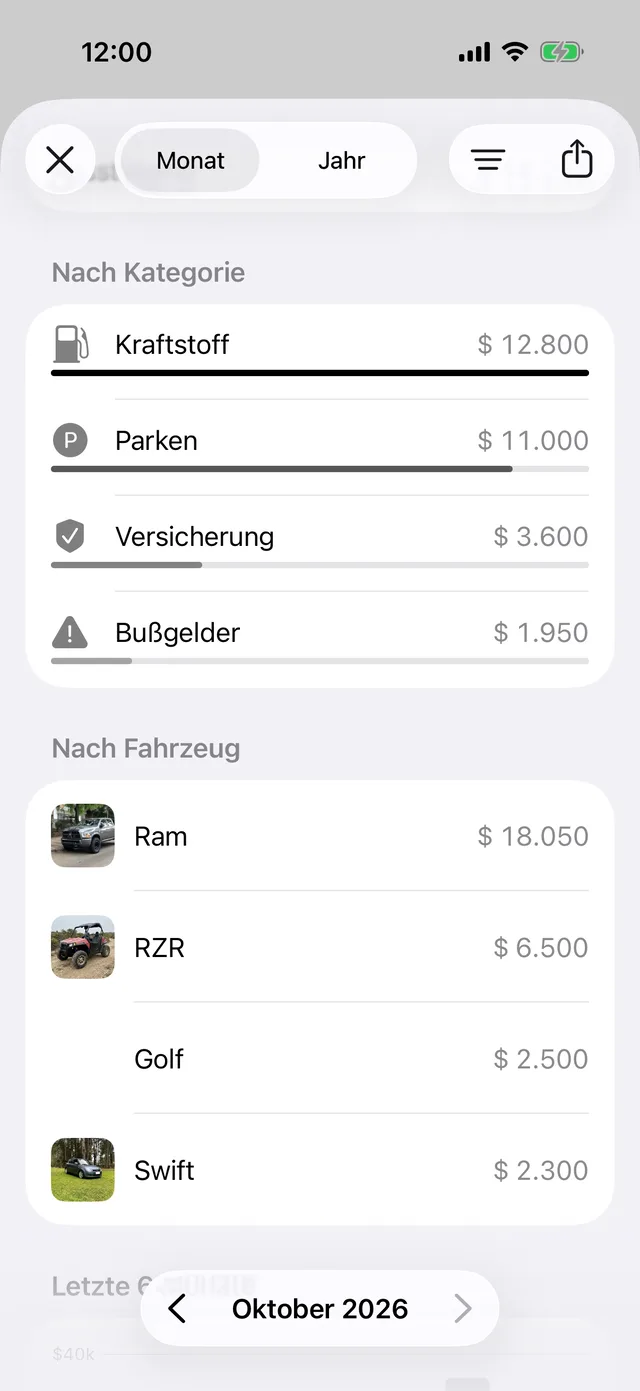 Die Ausgaben des Monats nach Kategorie und Fahrzeug