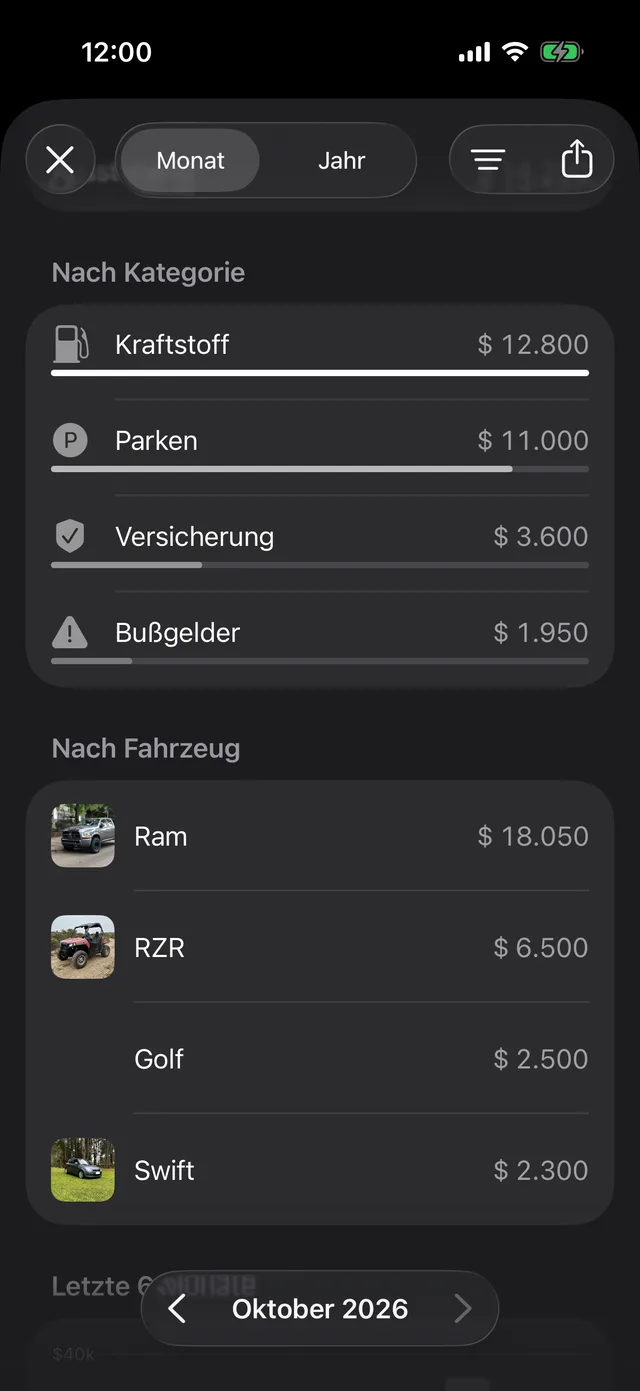 Die Ausgaben des Monats nach Kategorie und Fahrzeug