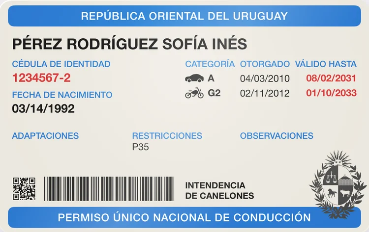 The driver’s license
