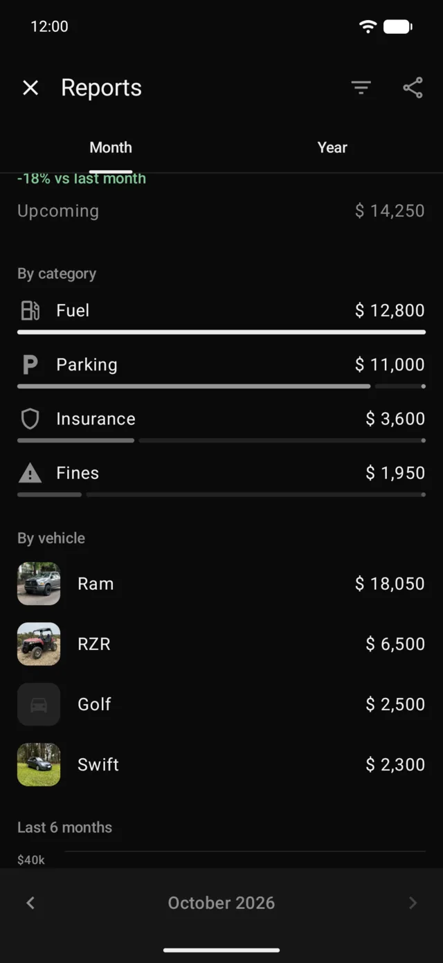 The month’s report by category, with fuel first