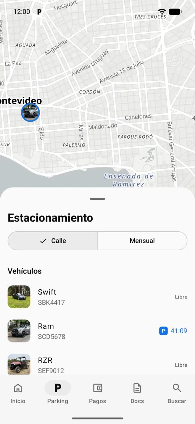 El mapa de Parking con los vehículos