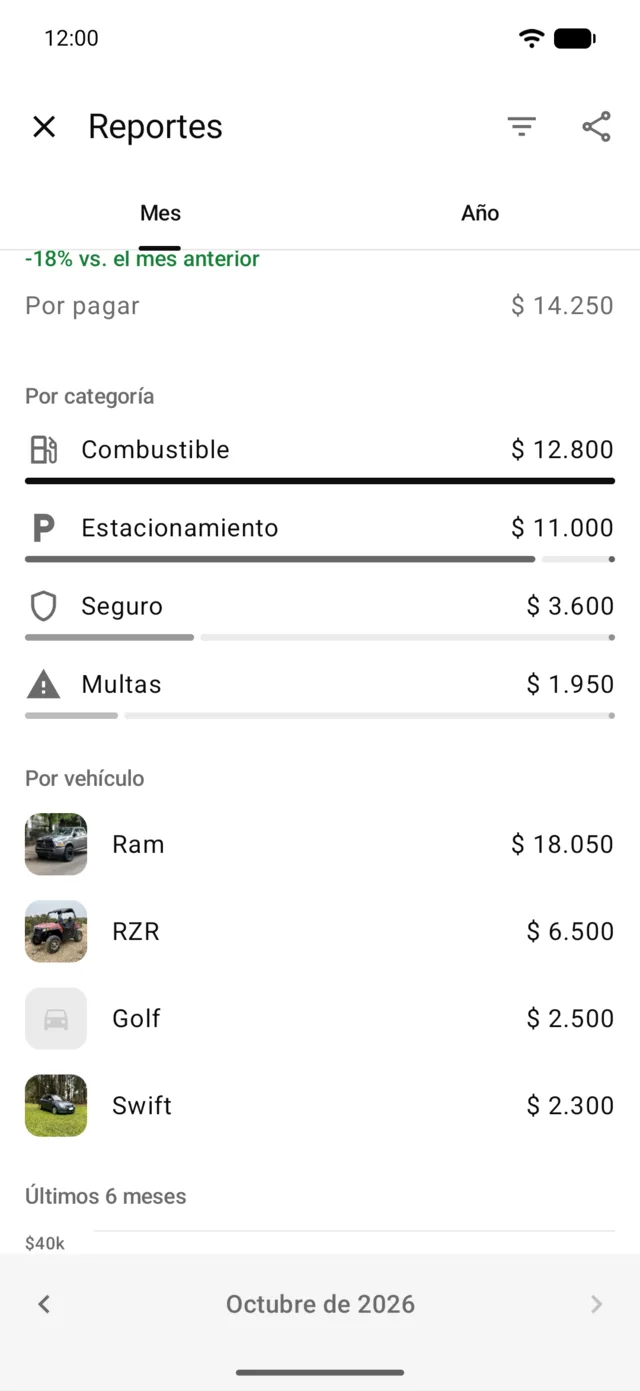 Los gastos del mes por categoría y por vehículo