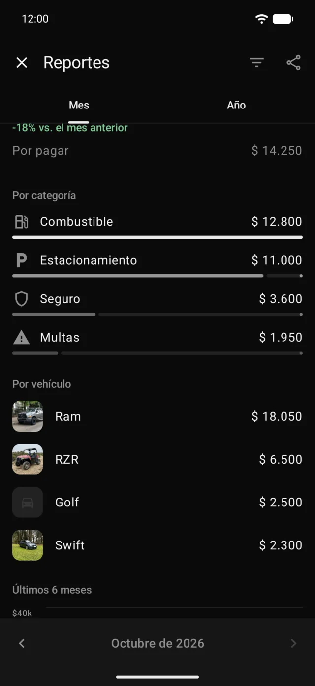 Los gastos del mes por categoría y por vehículo