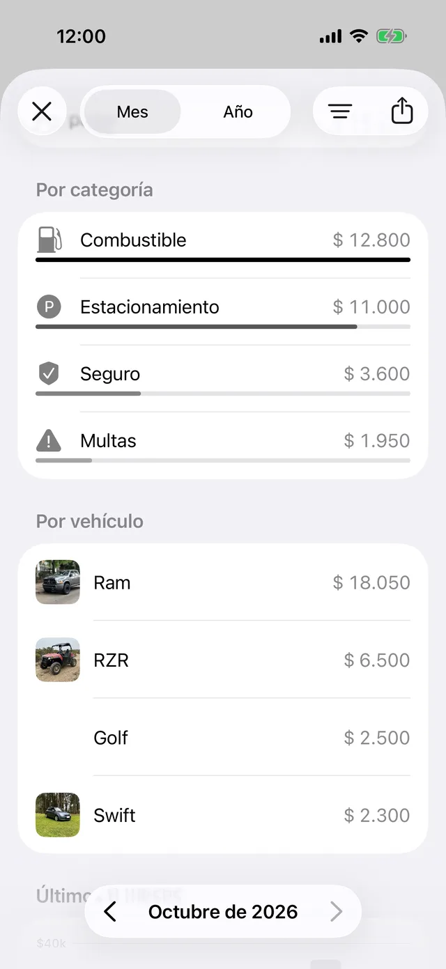 Los gastos del mes por categoría y por vehículo