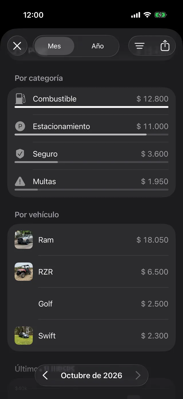 Los gastos del mes por categoría y por vehículo