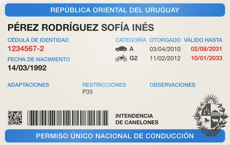 A carteira de motorista