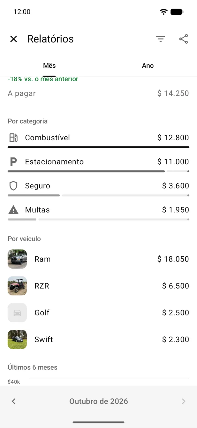 Os gastos do mês por categoria e por veículo