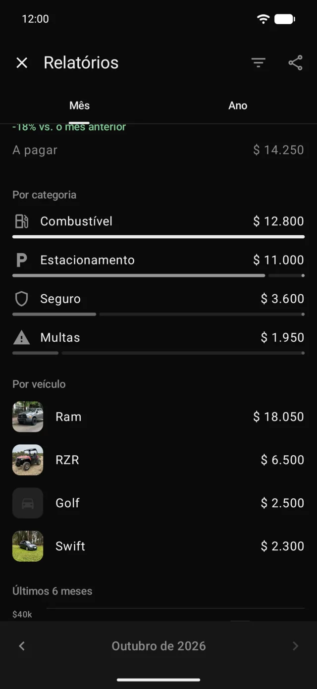 Os gastos do mês por categoria e por veículo