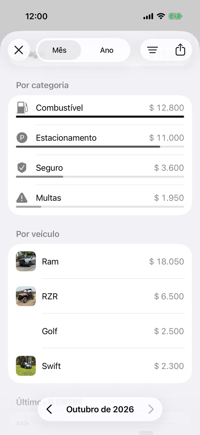 Os gastos do mês por categoria e por veículo