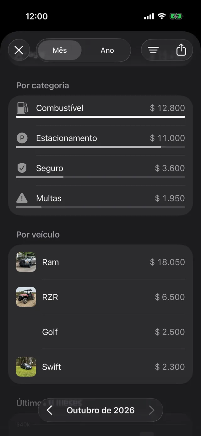 Os gastos do mês por categoria e por veículo